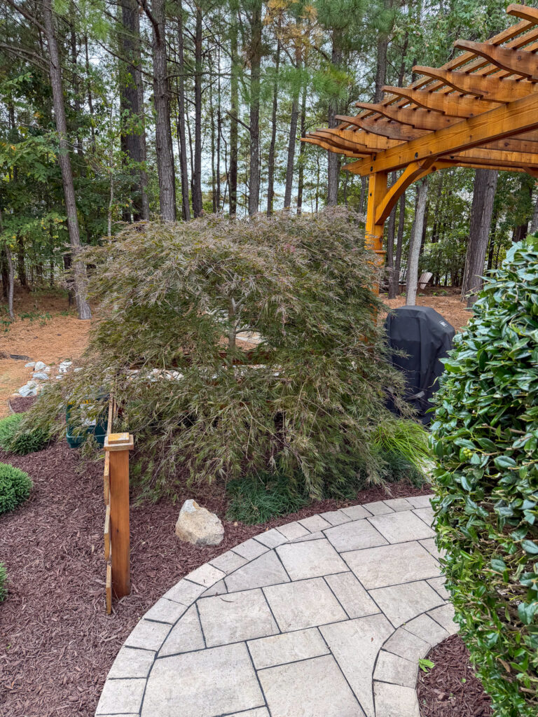 Stone walkway garden beautification in Holly Springs NC